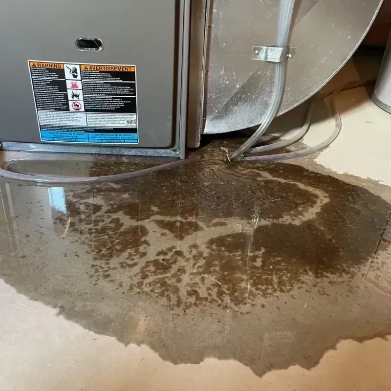 Appliance Leak Cleanup in Dupo, IL